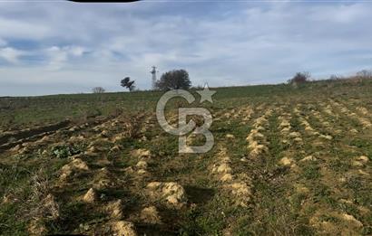 İmara 1.Parsel Satılık Tarla