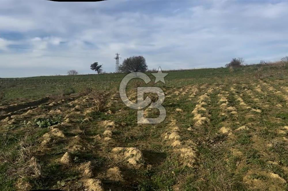 İmara 1.Parsel Satılık Tarla