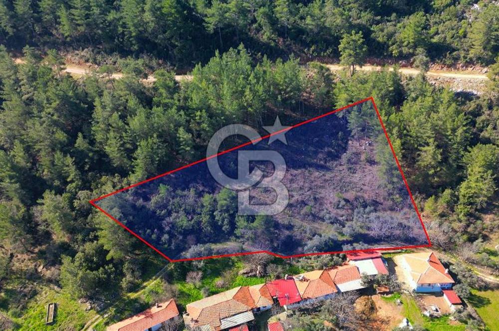 Muğla Yenice‘de imara yakınsatılık tarla