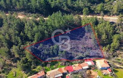 Muğla Yenice‘de imara yakınsatılık tarla