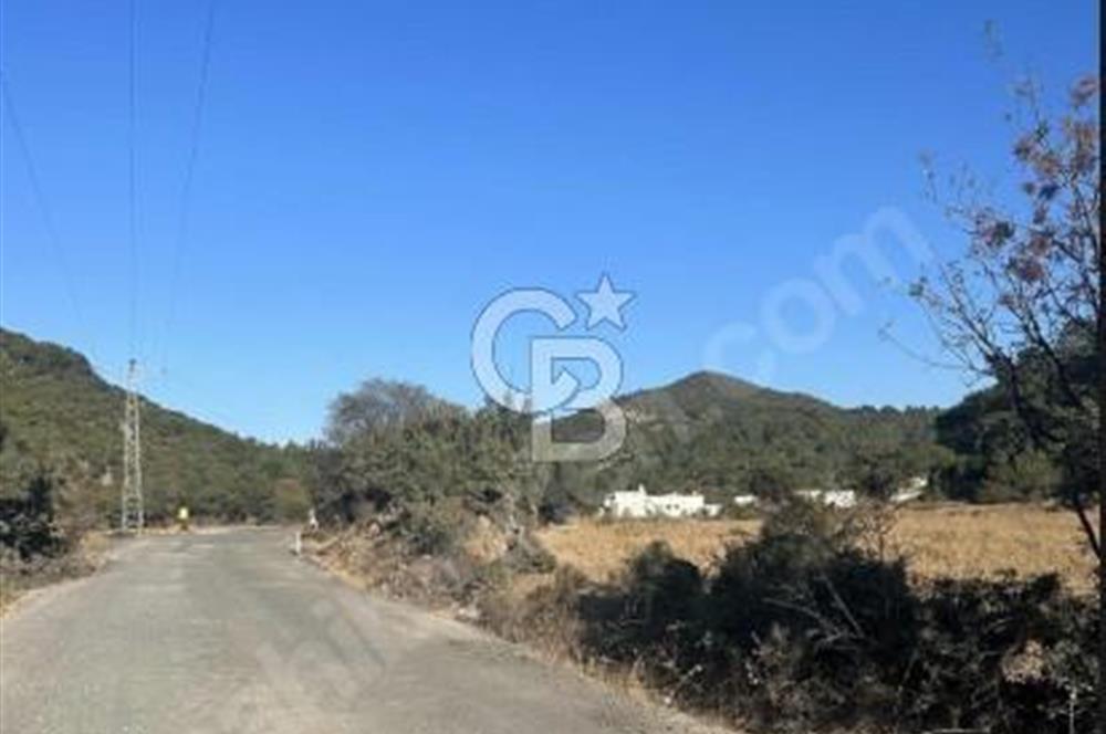 ÇANAKKALE MERKEZ HALİLOĞLU KÖYÜNDE YOLA CEPHELİ 8 DÖNÜM SATILIK TARLA