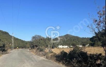 ÇANAKKALE MERKEZ HALİLOĞLU KÖYÜNDE YOLA CEPHELİ 8 DÖNÜM SATILIK TARLA