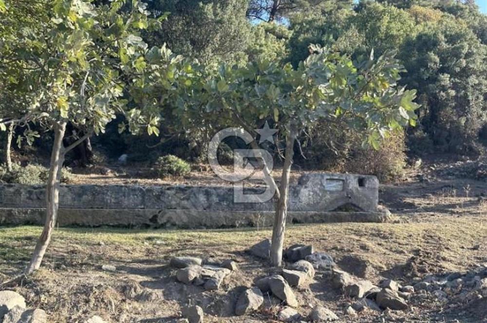 ÇANAKKALE MERKEZ HALİLOĞLU KÖYÜNDE YOLA CEPHELİ 8 DÖNÜM SATILIK TARLA