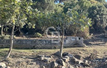 ÇANAKKALE MERKEZ HALİLOĞLU KÖYÜNDE YOLA CEPHELİ 8 DÖNÜM SATILIK TARLA