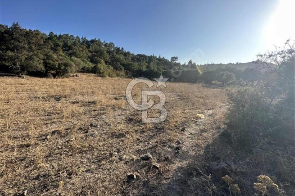 ÇANAKKALE MERKEZ HALİLOĞLU KÖYÜNDE YOLA CEPHELİ 8 DÖNÜM SATILIK TARLA