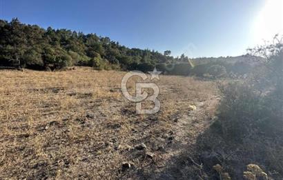 ÇANAKKALE MERKEZ HALİLOĞLU KÖYÜNDE YOLA CEPHELİ 8 DÖNÜM SATILIK TARLA