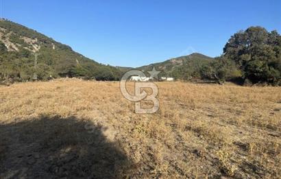 ÇANAKKALE MERKEZ HALİLOĞLU KÖYÜNDE YOLA CEPHELİ 8 DÖNÜM SATILIK TARLA