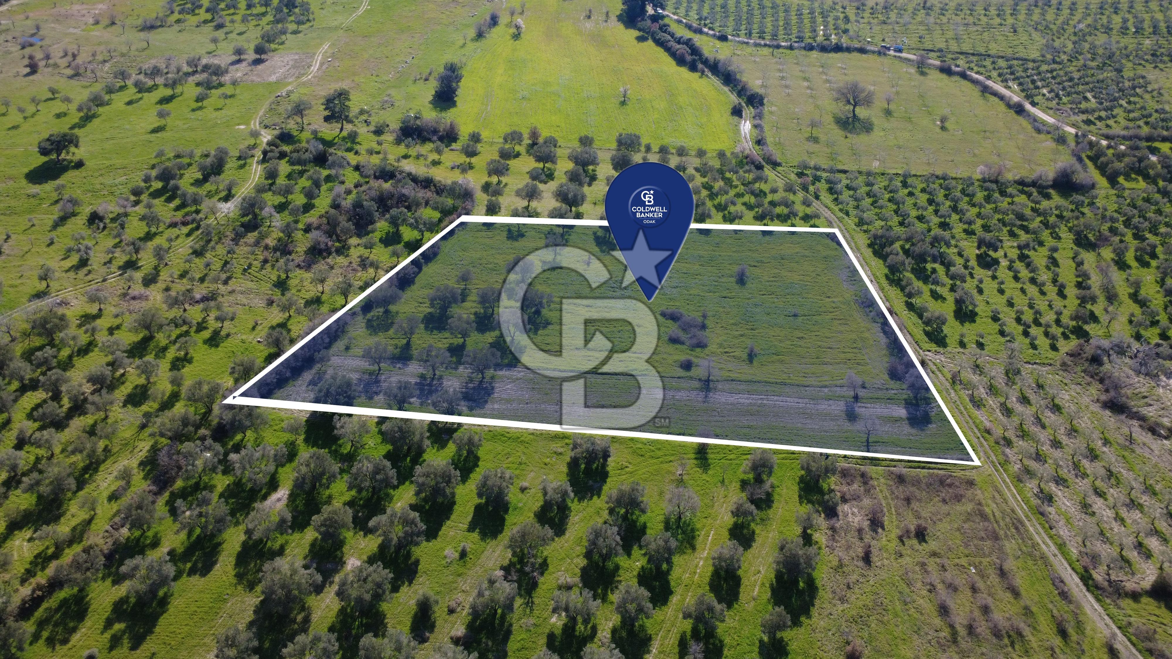 BERGAMA ÖRLEMİŞ'TE MÜSTAKİL TAPULU 8.000 m² SATILIK TARLA