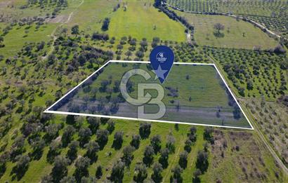 BERGAMA ÖRLEMİŞ'TE MÜSTAKİL TAPULU 8.000 m² SATILIK TARLA