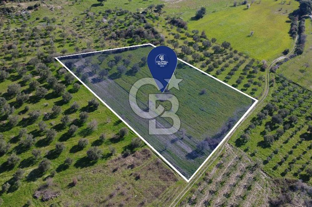 BERGAMA ÖRLEMİŞ'TE MÜSTAKİL TAPULU 8.000 m² SATILIK TARLA