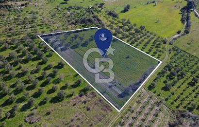 BERGAMA ÖRLEMİŞ'TE MÜSTAKİL TAPULU 8.000 m² SATILIK TARLA