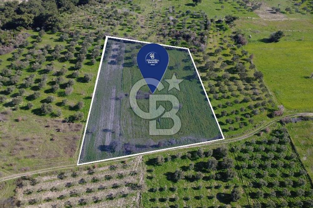 BERGAMA ÖRLEMİŞ'TE MÜSTAKİL TAPULU 8.000 m² SATILIK TARLA