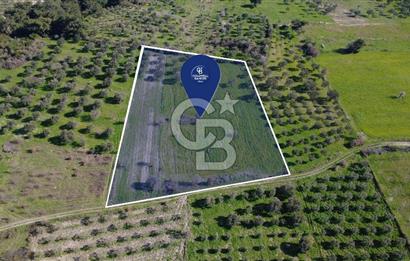 BERGAMA ÖRLEMİŞ'TE MÜSTAKİL TAPULU 8.000 m² SATILIK TARLA