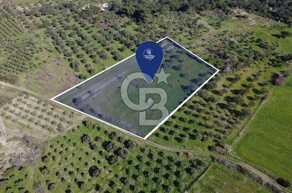 BERGAMA ÖRLEMİŞ'TE MÜSTAKİL TAPULU 8.000 m² SATILIK TARLA