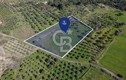 BERGAMA ÖRLEMİŞ'TE MÜSTAKİL TAPULU 8.000 m² SATILIK TARLA