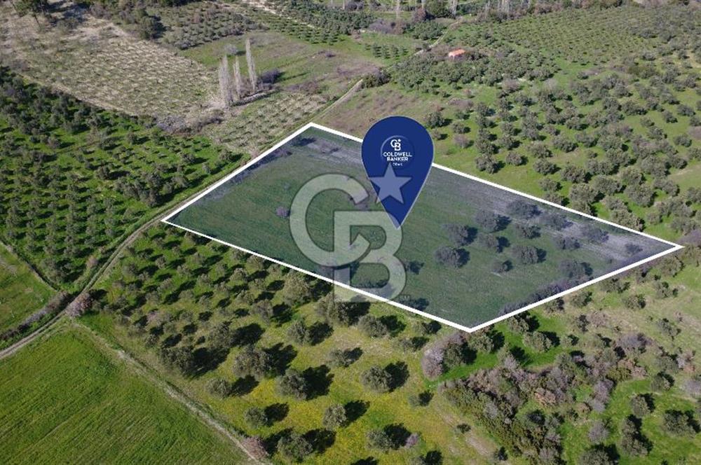 BERGAMA ÖRLEMİŞ'TE MÜSTAKİL TAPULU 8.000 m² SATILIK TARLA