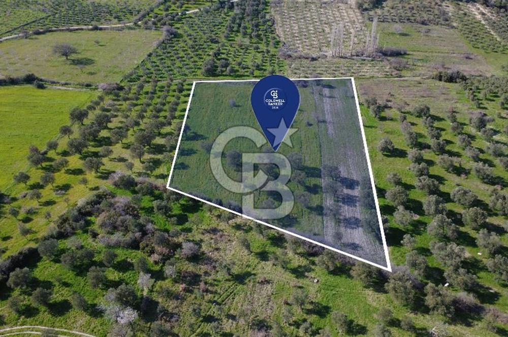 BERGAMA ÖRLEMİŞ'TE MÜSTAKİL TAPULU 8.000 m² SATILIK TARLA
