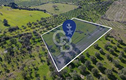 BERGAMA ÖRLEMİŞ'TE MÜSTAKİL TAPULU 8.000 m² SATILIK TARLA