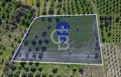 BERGAMA ÖRLEMİŞ'TE MÜSTAKİL TAPULU 8.000 m² SATILIK TARLA