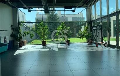 BİLKENT ANKA NATURA SİTESİNDE KİRALIK 4+1 LÜKS BAHÇE DUBLEKS