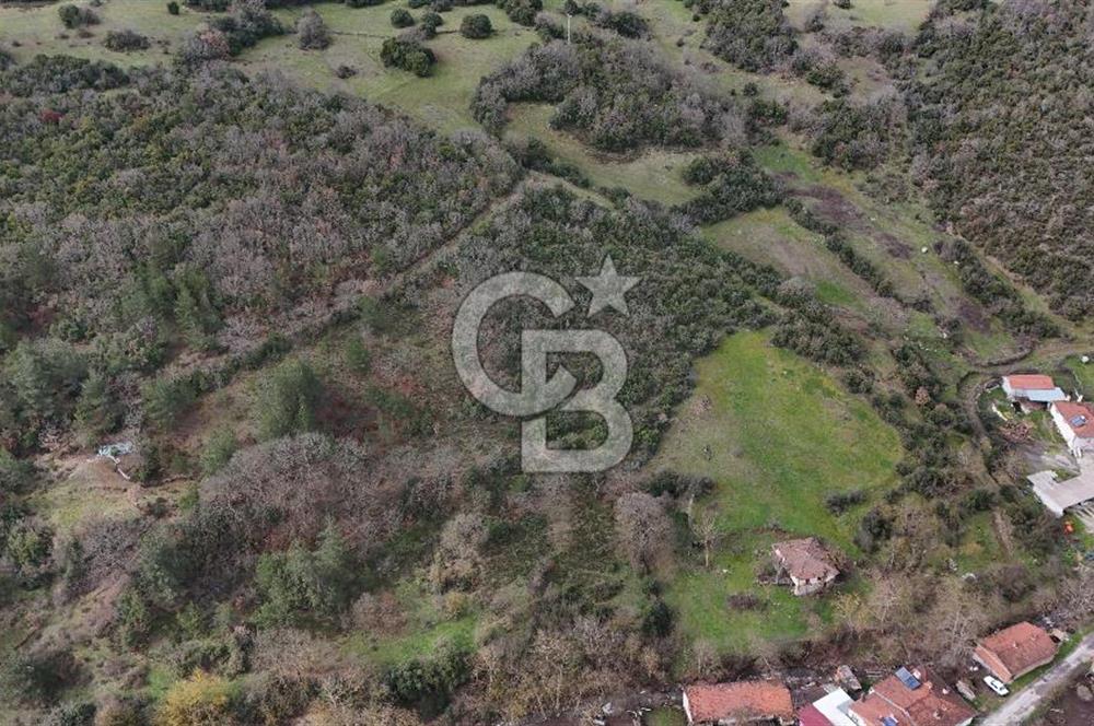 ÇANAKKALE YENİCE AŞAĞIKARAAŞIK KÖY İÇİNDE 2.877 m² SATILIK ARSA