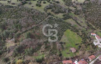 ÇANAKKALE YENİCE AŞAĞIKARAAŞIK KÖY İÇİNDE 2.877 m² SATILIK ARSA