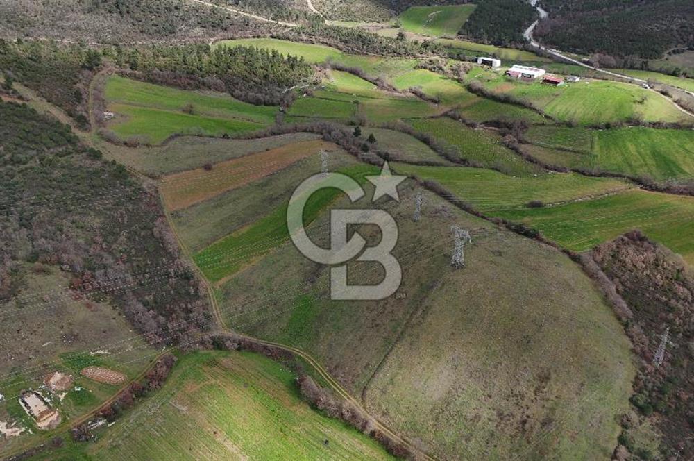 ÇANAKKALE YENİCE AŞAĞIKARAAŞIK KÖYÜNDE 8.926 m² SATILIK TARLA