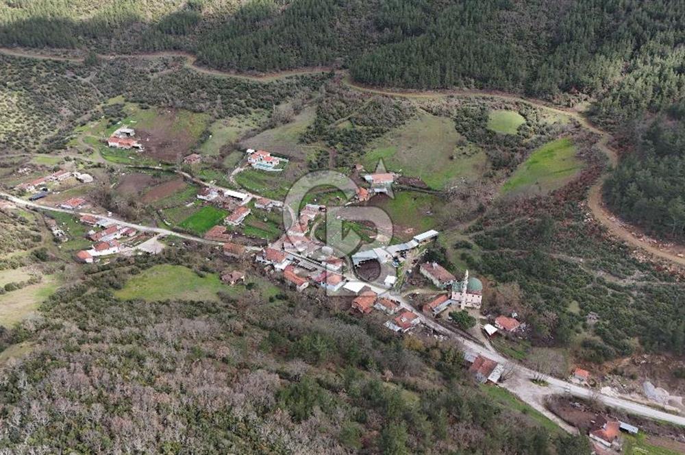 ÇANAKKALE YENİCE AŞAĞIKARAAŞIK KÖY İÇİNDE 2.877 m² SATILIK ARSA