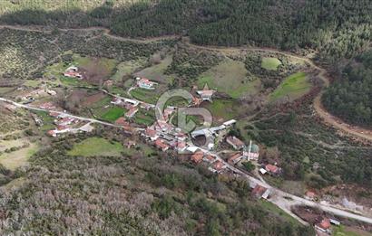 ÇANAKKALE YENİCE AŞAĞIKARAAŞIK KÖY İÇİNDE 2.877 m² SATILIK ARSA