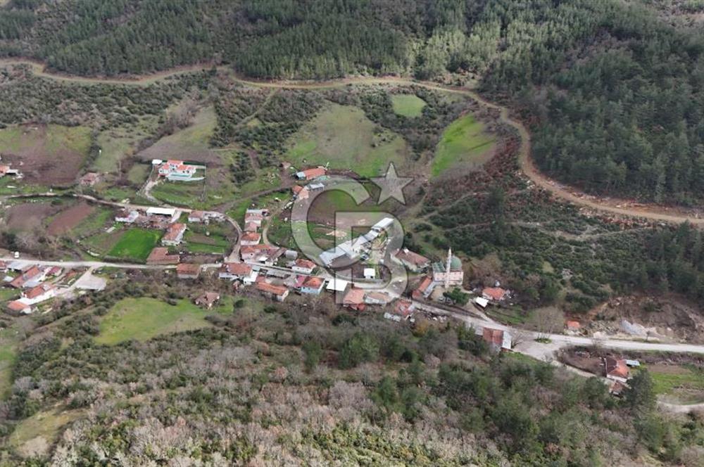 ÇANAKKALE YENİCE AŞAĞIKARAAŞIK KÖY İÇİNDE 2.877 m² SATILIK ARSA