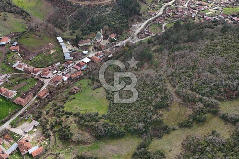 ÇANAKKALE YENİCE AŞAĞIKARAAŞIK KÖY İÇİNDE 2.877 m² SATILIK ARSA