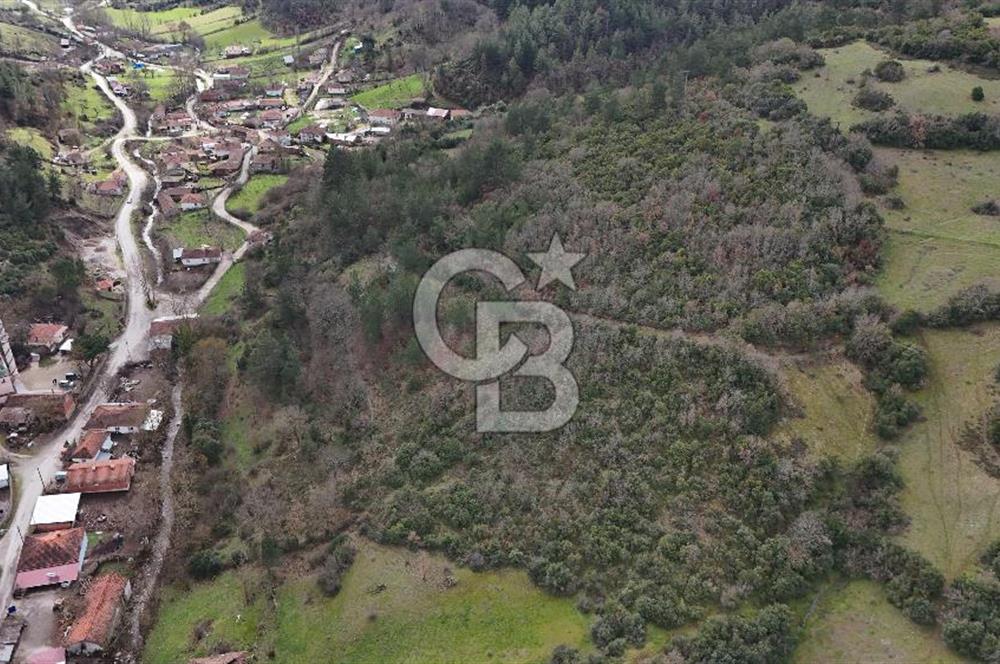 ÇANAKKALE YENİCE AŞAĞIKARAAŞIK KÖY İÇİNDE 2.877 m² SATILIK ARSA