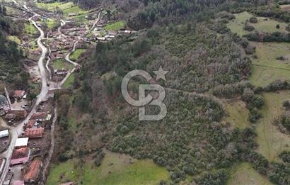 ÇANAKKALE YENİCE AŞAĞIKARAAŞIK KÖY İÇİNDE 2.877 m² SATILIK ARSA