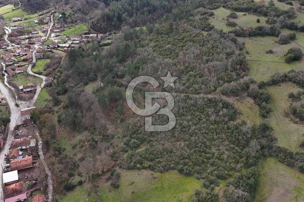 ÇANAKKALE YENİCE AŞAĞIKARAAŞIK KÖY İÇİNDE 2.877 m² SATILIK ARSA