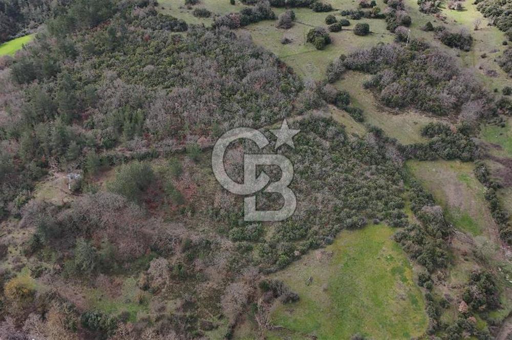 ÇANAKKALE YENİCE AŞAĞIKARAAŞIK KÖY İÇİNDE 2.877 m² SATILIK ARSA