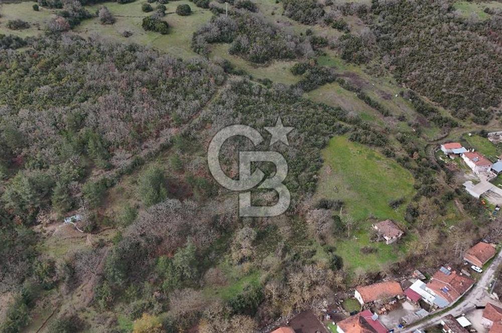 ÇANAKKALE YENİCE AŞAĞIKARAAŞIK KÖY İÇİNDE 2.877 m² SATILIK ARSA