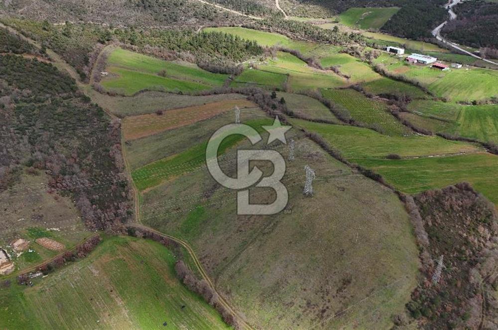 ÇANAKKALE YENİCE AŞAĞIKARAAŞIK KÖYÜNDE 8.926 m² SATILIK TARLA