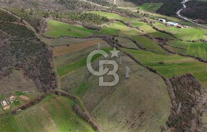 ÇANAKKALE YENİCE AŞAĞIKARAAŞIK KÖYÜNDE 8.926 m² SATILIK TARLA