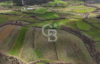 ÇANAKKALE YENİCE AŞAĞIKARAAŞIK KÖYÜNDE 8.926 m² SATILIK TARLA