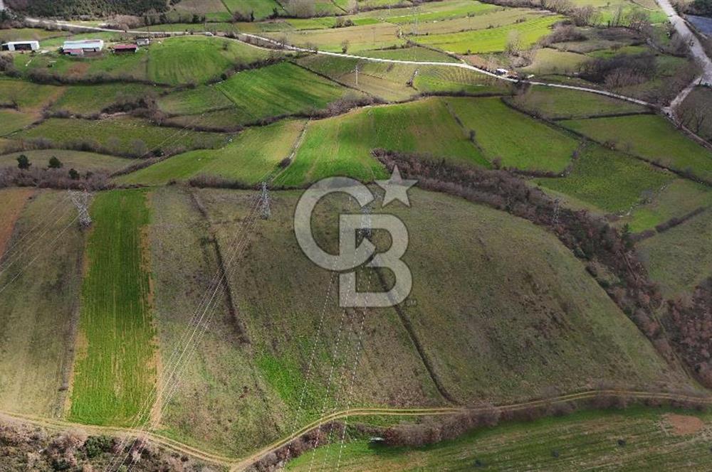 ÇANAKKALE YENİCE AŞAĞIKARAAŞIK KÖYÜNDE 8.926 m² SATILIK TARLA