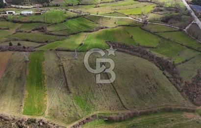 ÇANAKKALE YENİCE AŞAĞIKARAAŞIK KÖYÜNDE 8.926 m² SATILIK TARLA