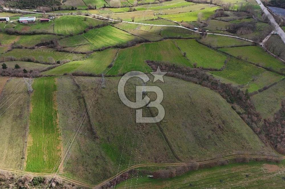 ÇANAKKALE YENİCE AŞAĞIKARAAŞIK KÖYÜNDE 8.926 m² SATILIK TARLA