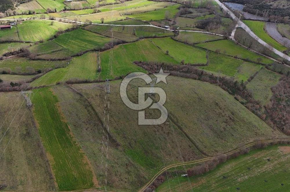 ÇANAKKALE YENİCE AŞAĞIKARAAŞIK KÖYÜNDE 8.926 m² SATILIK TARLA