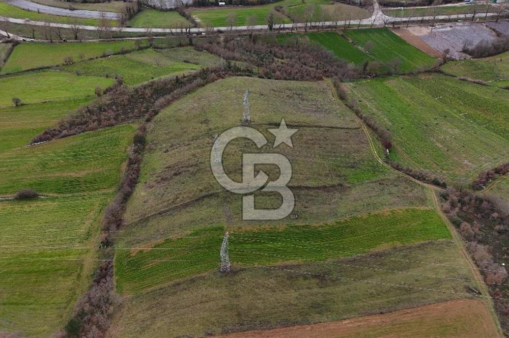 ÇANAKKALE YENİCE AŞAĞIKARAAŞIK KÖYÜNDE 8.926 m² SATILIK TARLA