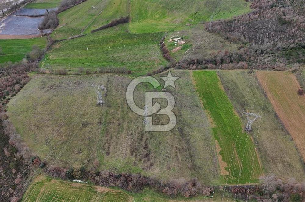 ÇANAKKALE YENİCE AŞAĞIKARAAŞIK KÖYÜNDE 8.926 m² SATILIK TARLA