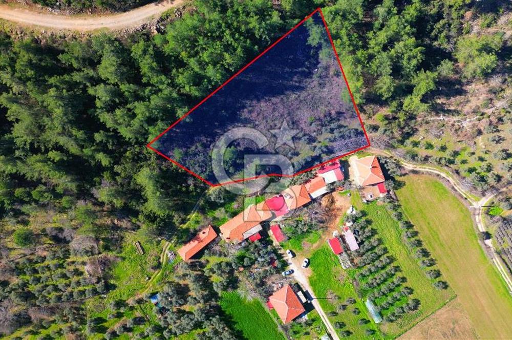 Muğla Yenice‘de imara yakınsatılık tarla