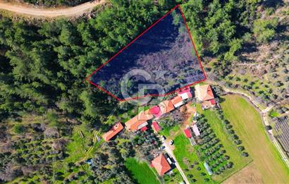 Muğla Yenice‘de imara yakınsatılık tarla