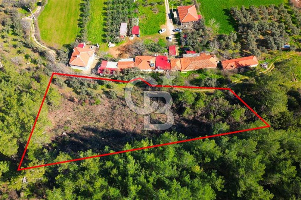 Muğla Yenice‘de imara yakınsatılık tarla