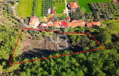 Muğla Yenice‘de imara yakınsatılık tarla