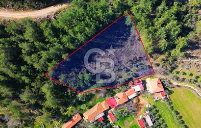 Muğla Yenice‘de imara yakınsatılık tarla